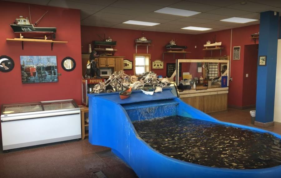 Collins Lobster Shop